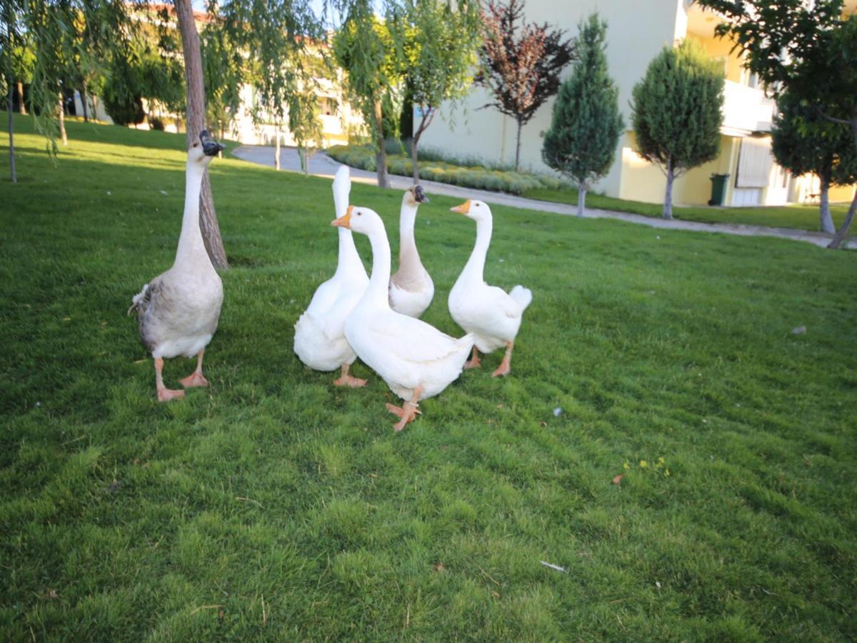 Basaranlar Thermal Otel Gazligol Kültér fotó