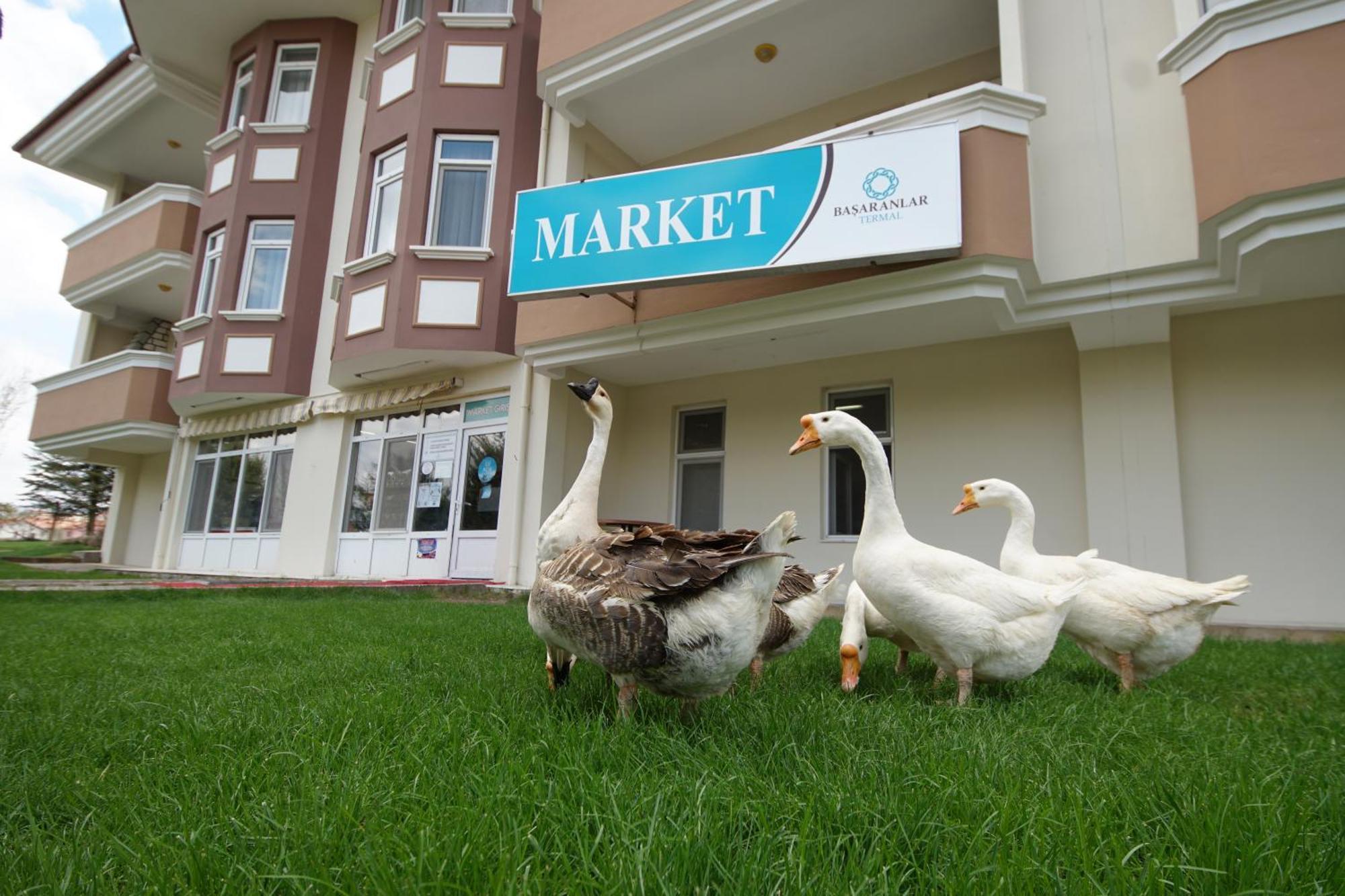 Basaranlar Thermal Otel Gazligol Kültér fotó