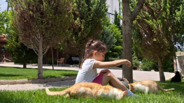 Basaranlar Thermal Otel Gazligol Kültér fotó