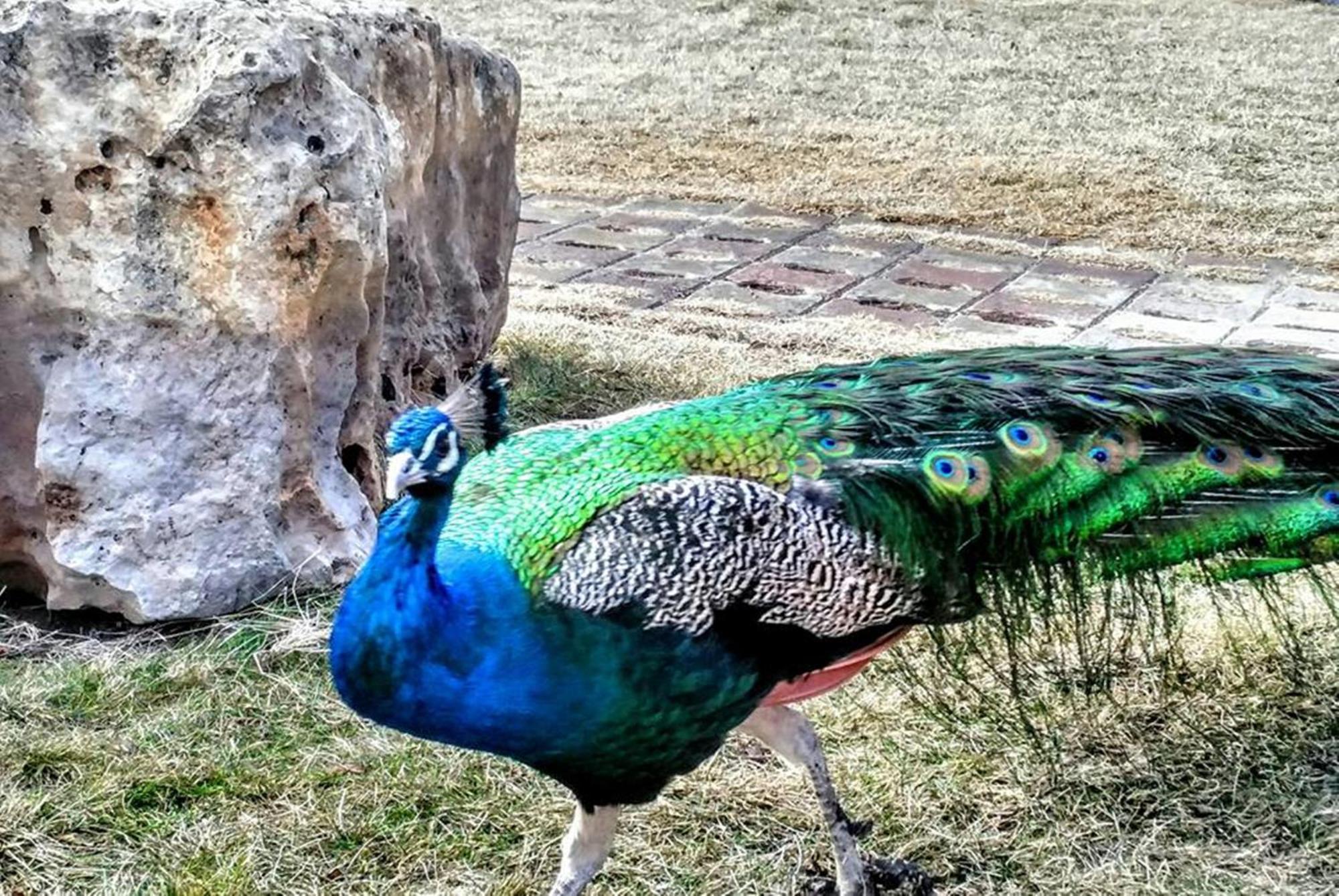 Basaranlar Thermal Otel Gazligol Kültér fotó